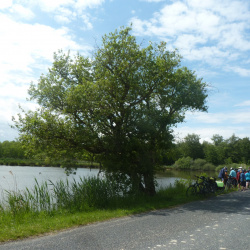 Velo dans La Dombes avec la Quincaillerie mai 2019
